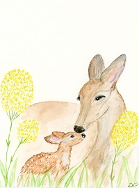 Doe and fawn