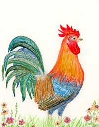 Rooster