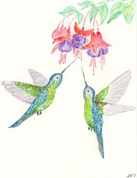 Hummingbirds