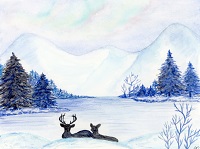 winter landscape with deer